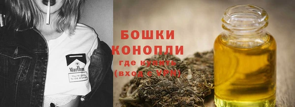 мдпв Верхний Тагил