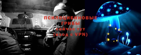 дживик Верея
