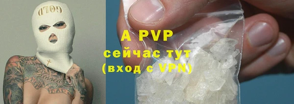 дживик Верея