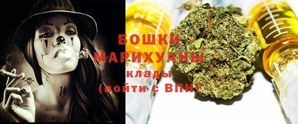 дживик Верея