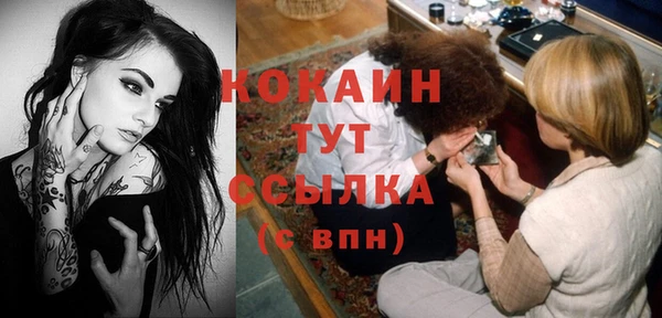 дживик Верея
