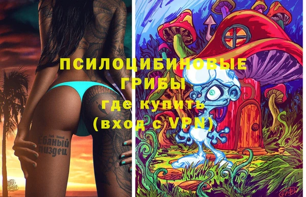дживик Верея